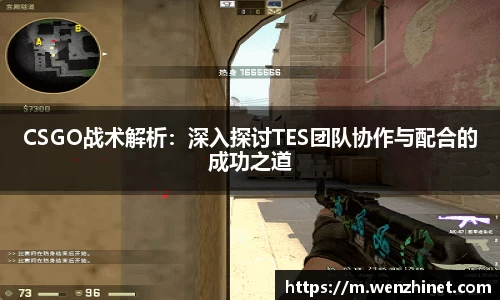 vsport体育官网入口
