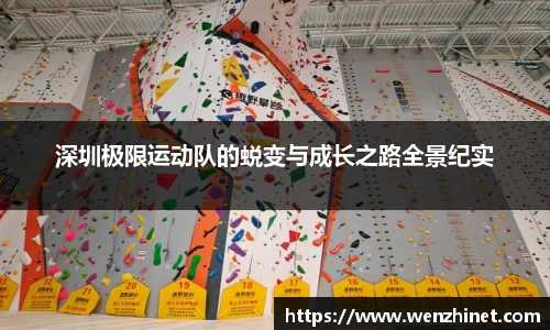 vsport体育官网入口