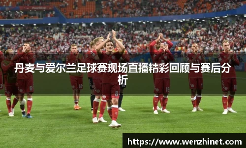 丹麦与爱尔兰足球赛现场直播精彩回顾与赛后分析