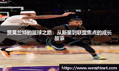 vsport体育官网入口